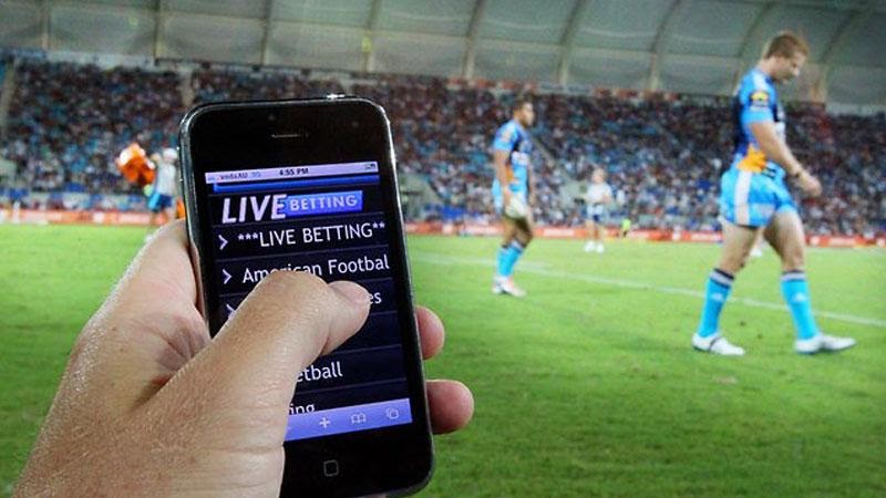 cá độ bóng đá