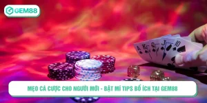 mẹo cá cược cho người mới